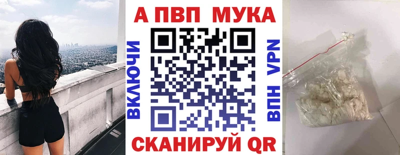 Альфа ПВП СК  Сольвычегодск 