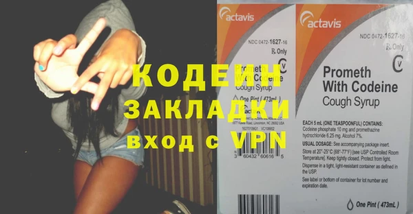 прущие грибы Переславль-Залесский