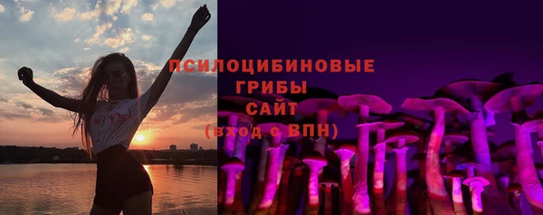 прущие грибы Переславль-Залесский