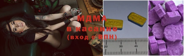 прущие грибы Переславль-Залесский