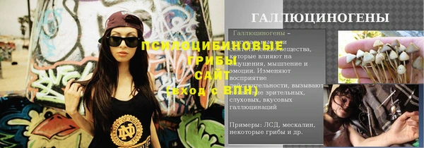 меф Кизел