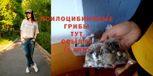 прущий лед Пестово