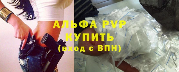 spice Кедровый