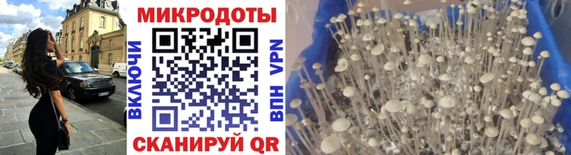 Псилоцибиновые грибы прущие грибы  Сольвычегодск 