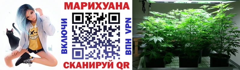 Бошки марихуана планчик Сольвычегодск